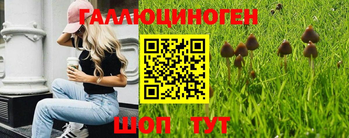 Галлюциногенные грибы мухоморы Усинск